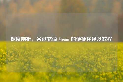 深度剖析,谷歌充值 Steam 的便捷途径及教程