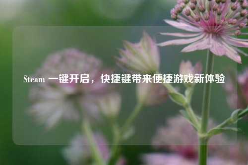 Steam 一键开启,快捷键带来便捷游戏新体验