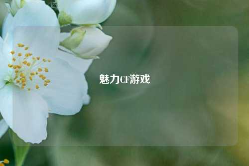 魅力CF游戏