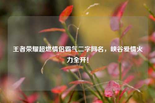 王者荣耀超燃情侣霸气二字网名,峡谷爱情火力全开!