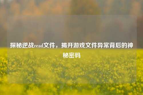 探秘逆战read文件,揭开游戏文件异常背后的神秘密码