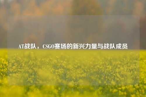 AT战队,CSGO赛场的新兴力量与战队成员