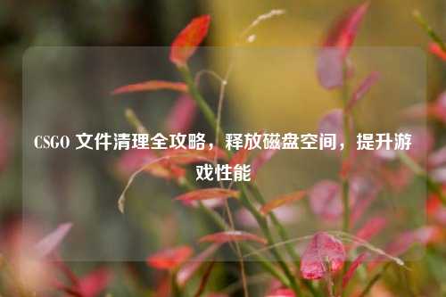 CSGO 文件清理全攻略,释放磁盘空间,提升游戏性能
