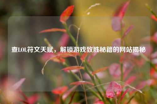 查LOL符文天赋,解锁游戏致胜秘籍的网站揭秘
