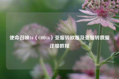 使命召唤16(COD16)亚服转欧服及亚服转俄服详细教程