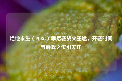 绝地求生(PUBG)季后赛战火重燃,开赛时间与巅峰之位引关注