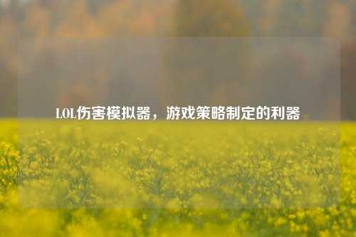 LOL伤害模拟器,游戏策略制定的利器