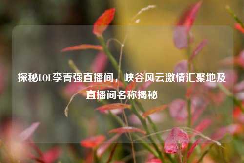 探秘LOL李青强直播间,峡谷风云***汇聚地及直播间名称揭秘