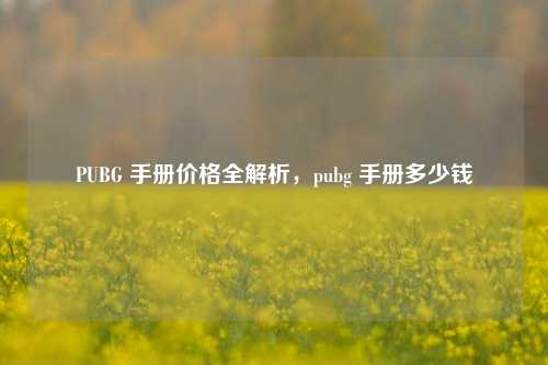 PUBG 手册价格全解析,pubg 手册多少钱