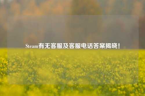 Steam有无 *** 及 *** *** 答案揭晓!