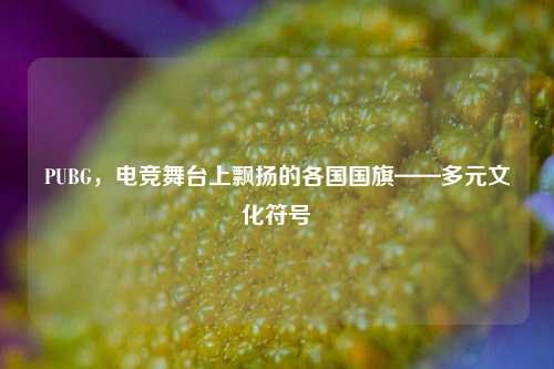 PUBG,电竞舞台上飘扬的各国国旗——多元文化符号