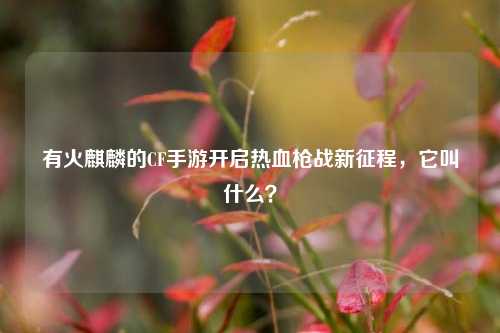 有火麒麟的CF手游开启热血枪战新征程,它叫什么?