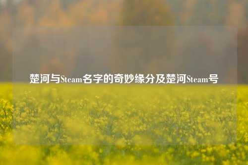 楚河与Steam名字的奇妙缘分及楚河Steam号