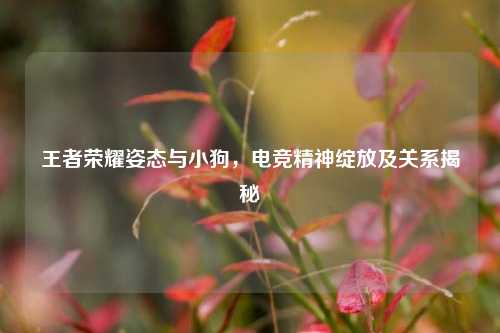 王者荣耀姿态与小狗,电竞精神绽放及关系揭秘