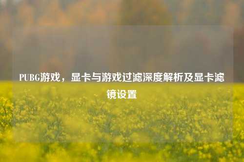 PUBG游戏,显卡与游戏过滤深度解析及显卡滤镜设置