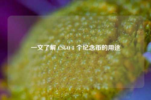 一文了解 CSGO 3 个纪念币的用途