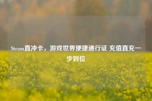 Steam直冲卡,游戏世界便捷通行证 充值直充一步到位
