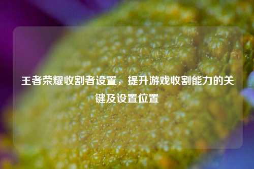 王者荣耀收割者设置,提升游戏收割能力的关键及设置位置