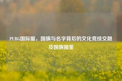 PUBG国际服,国旗与名字背后的文化竞技交融及国旗图鉴