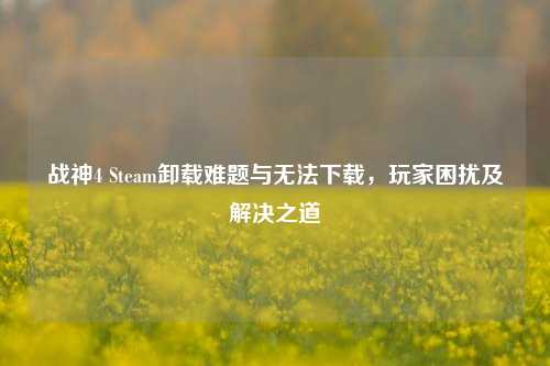 战神4 Steam卸载难题与无法下载,玩家困扰及解决之道