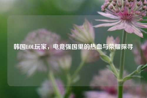 韩国LOL玩家,电竞强国里的热血与荣耀探寻