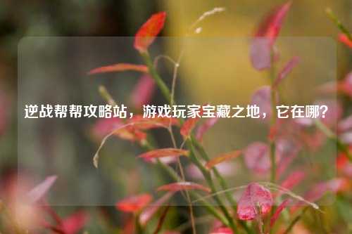 逆战帮帮攻略站,游戏玩家宝藏之地,它在哪?