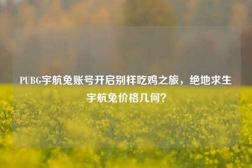 PUBG宇航兔账号开启别样吃鸡之旅,绝地求生宇航兔价格几何?