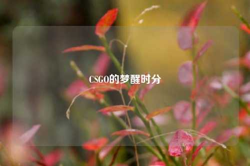 CSGO的梦醒时分