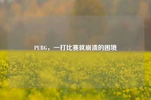 PUBG,一打比赛就崩溃的困境