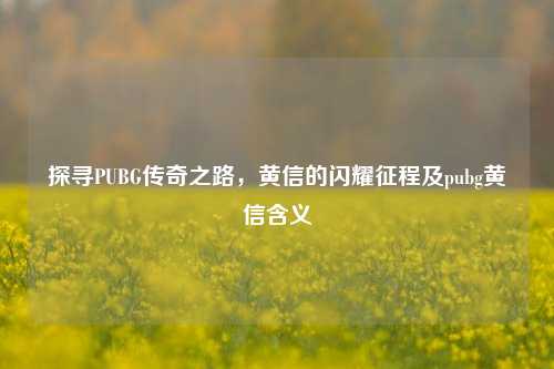 探寻PUBG传奇之路,黄信的闪耀征程及pubg黄信含义