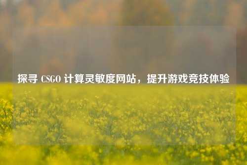探寻 CSGO 计算灵敏度网站,提升游戏竞技体验