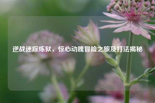 逆战迷踪炼狱,惊心动魄冒险之旅及打法揭秘
