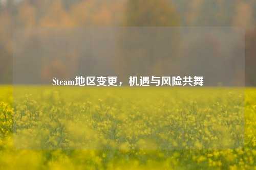 Steam地区变更,机遇与风险共舞