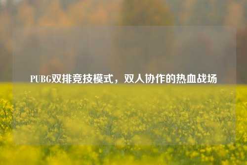 PUBG双排竞技模式,双人协作的热血战场
