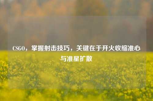 CSGO,掌握射击技巧,关键在于开火收缩准心与准星扩散