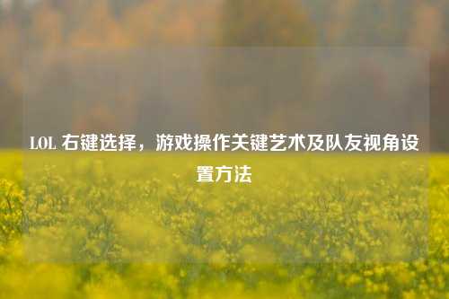 LOL 右键选择,游戏操作关键艺术及队友视角设置 ***
