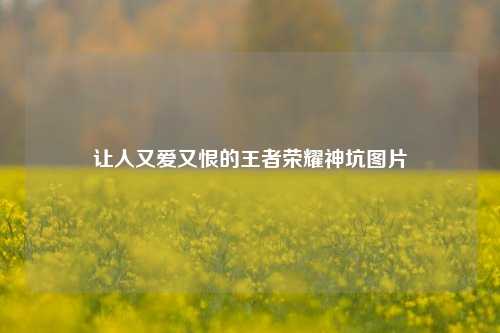 让人又爱又恨的王者荣耀神坑图片