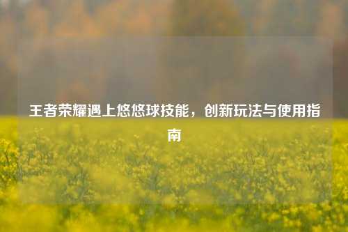 王者荣耀遇上悠悠球技能,创新玩法与使用指南