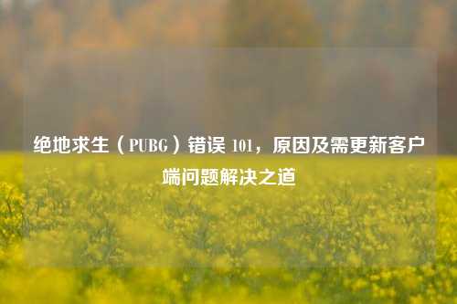 绝地求生(PUBG)错误 101,原因及需更新客户端问题解决之道