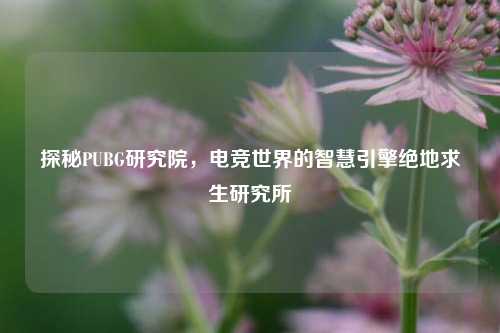 探秘PUBG研究院,电竞世界的智慧引擎绝地求生研究所