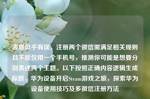 表意似乎有误,注册两个微信需满足相关规则且不能仅用一个手机号,推测你可能是想要分别表述两个主题。以下按照正确内容逻辑生成标题,华为设备开启Steam游戏之旅,探索华为设备使用技巧及多微信注册 ***