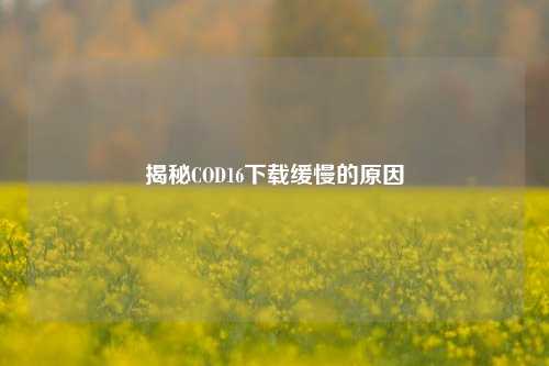 揭秘COD16下载缓慢的原因