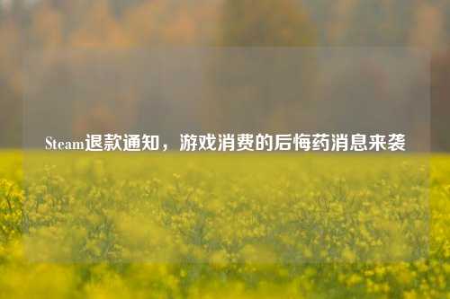 Steam退款通知,游戏消费的后悔药消息来袭