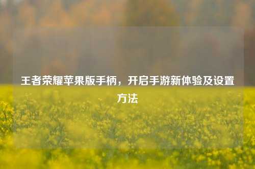 王者荣耀苹果版手柄,开启手游新体验及设置 ***