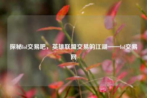 探秘lol交易吧,英雄联盟交易的江湖——lol交易网