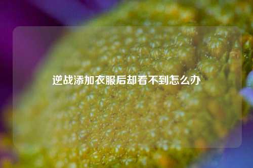 逆战添加衣服后却看不到怎么办