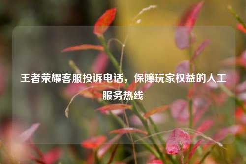 王者荣耀 *** 投诉 *** ,保障玩家权益的人工服务热线