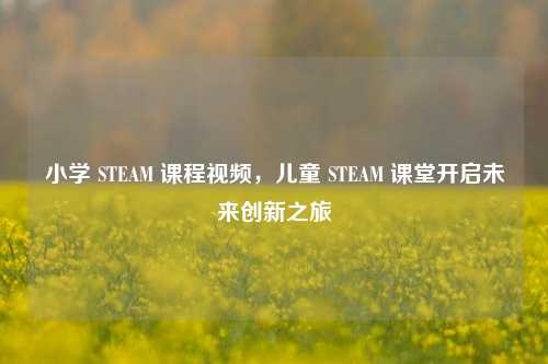 小学 STEAM 课程视频,儿童 STEAM 课堂开启未来创新之旅