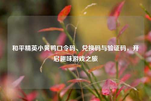 和平精英小黄鸭口令码、兑换码与验证码,开启趣味游戏之旅