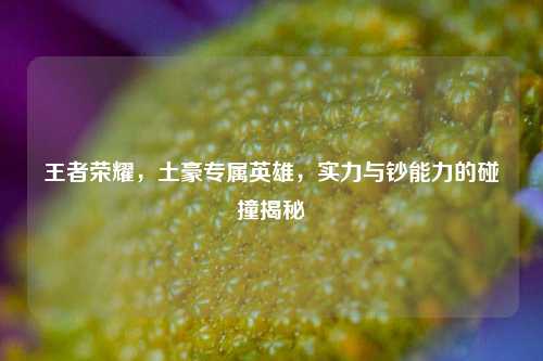 王者荣耀,土豪专属英雄,实力与钞能力的碰撞揭秘